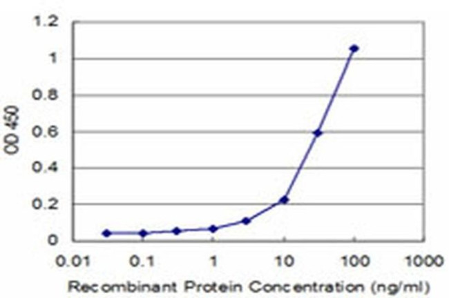 CLIC3 Antibody in ELISA (ELISA)
