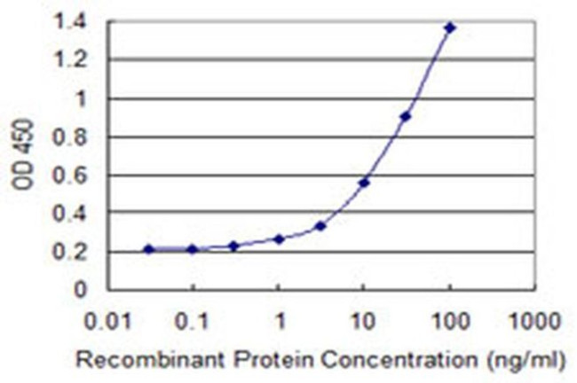 Syntaphilin Antibody in ELISA (ELISA)