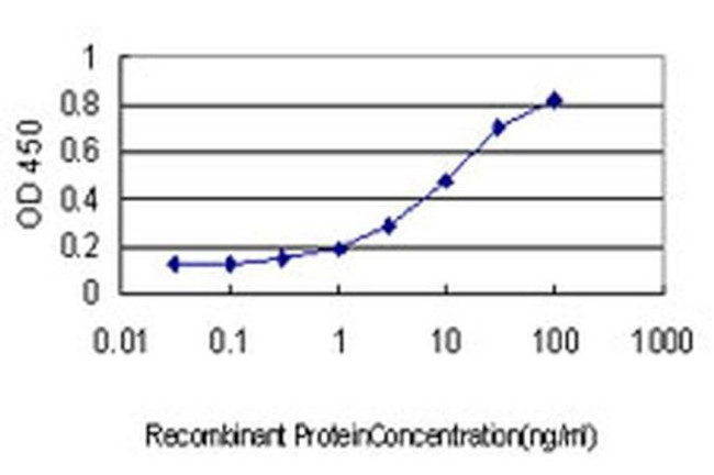 CTDSP2 Antibody in ELISA (ELISA)