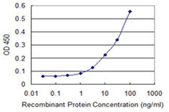 ZNF197 Antibody in ELISA (ELISA)