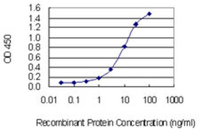 PPP1R17 Antibody in ELISA (ELISA)
