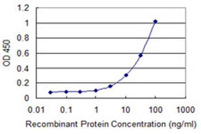 Calpain 11 Antibody in ELISA (ELISA)