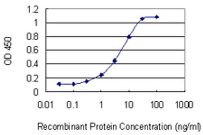 RhoBTB2 Antibody in ELISA (ELISA)