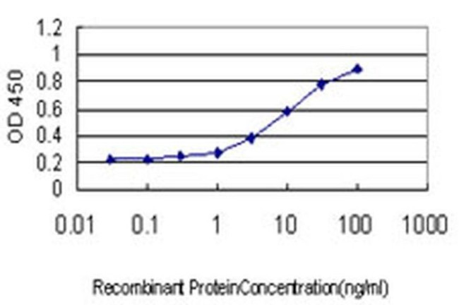 SSBP3 Antibody in ELISA (ELISA)