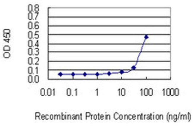 FLRT1 Antibody in ELISA (ELISA)