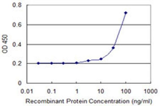 WSB1 Antibody in ELISA (ELISA)