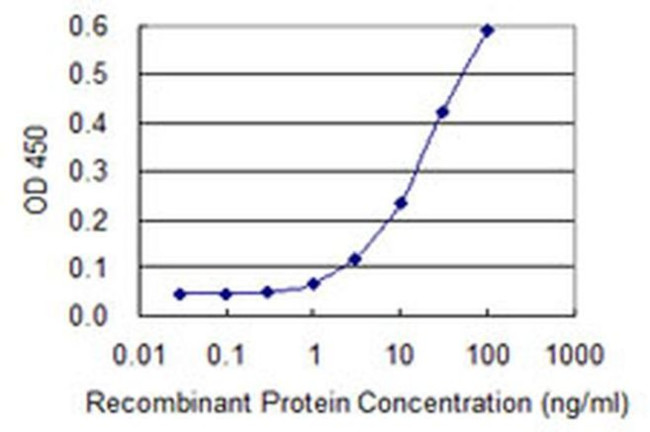 SERGEF Antibody in ELISA (ELISA)