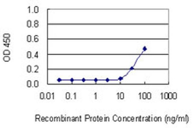 FBXO40 Antibody in ELISA (ELISA)