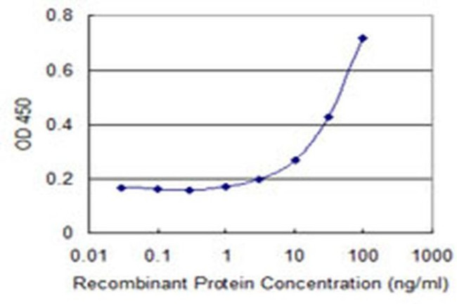 PARL Antibody in ELISA (ELISA)