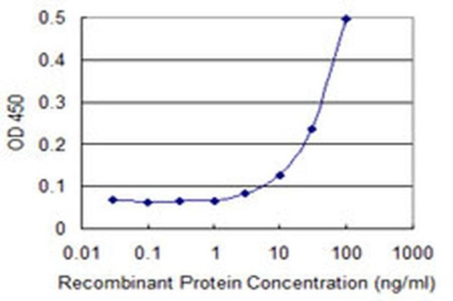 ZNF167 Antibody in ELISA (ELISA)