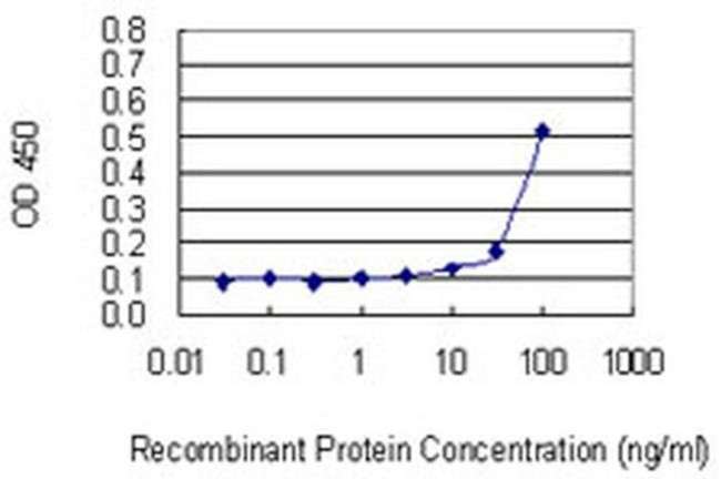 ZNF253 Antibody in ELISA (ELISA)