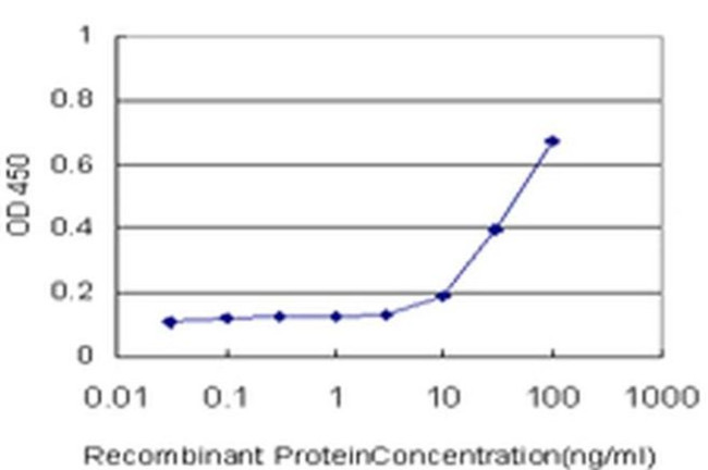 BARHL1 Antibody in ELISA (ELISA)