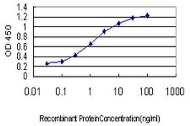 RBAK Antibody in ELISA (ELISA)