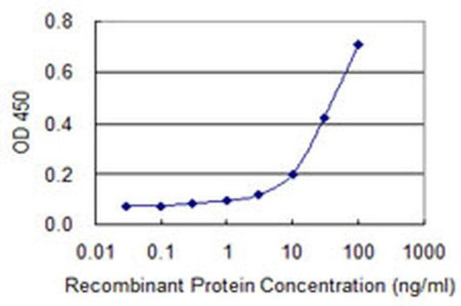 Bcl-G Antibody in ELISA (ELISA)