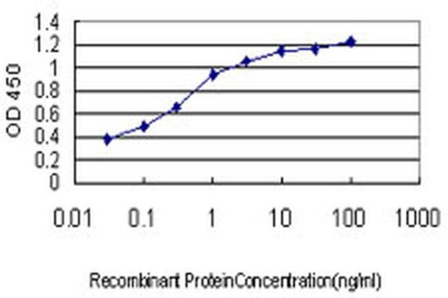 LONRF3 Antibody in ELISA (ELISA)