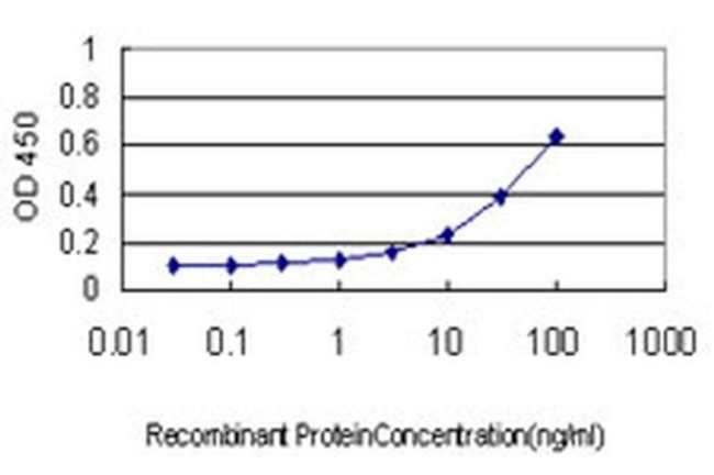 ARF7 Antibody in ELISA (ELISA)