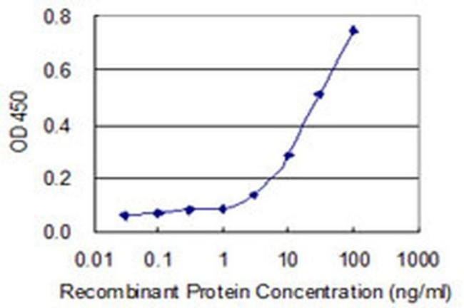 SPSB1 Antibody in ELISA (ELISA)