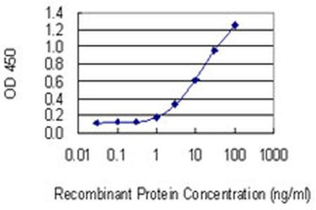 C1orf57 Antibody in ELISA (ELISA)