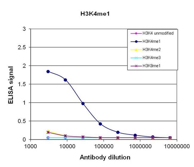 H3K4me1 Antibody