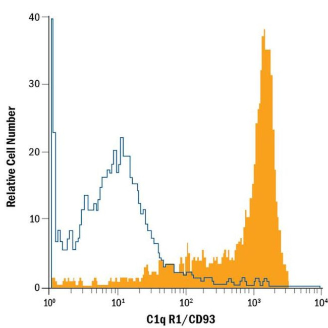 CD93 Antibody in Flow Cytometry (Flow)