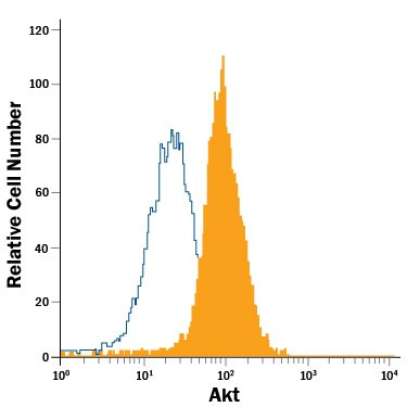 AKT1 Antibody in Flow Cytometry (Flow)