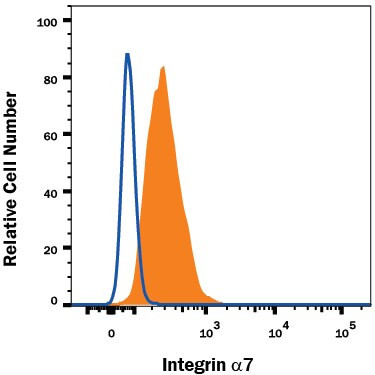 ITGA7 Antibody in Flow Cytometry (Flow)