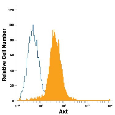 AKT1 Antibody in Flow Cytometry (Flow)