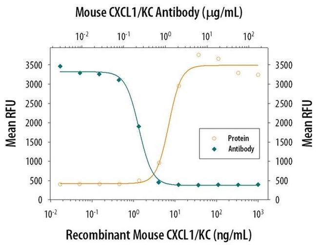 CXCL1 Antibody