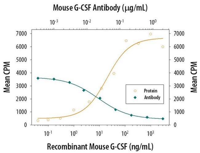 G-CSF Antibody
