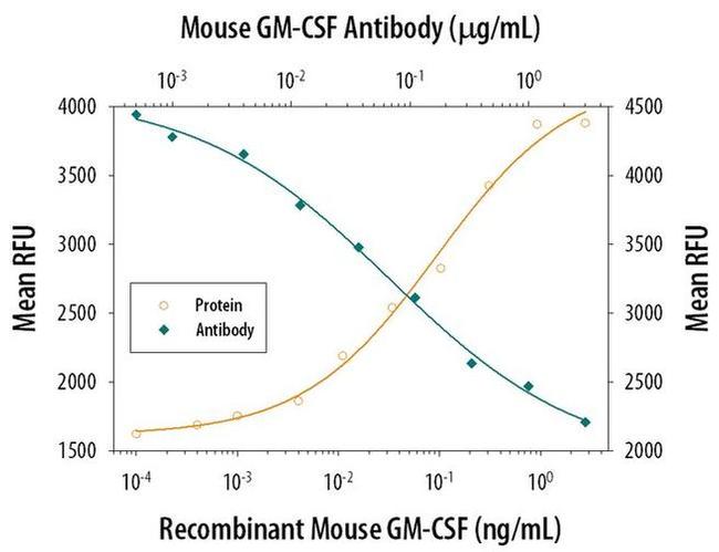 GM-CSF Antibody