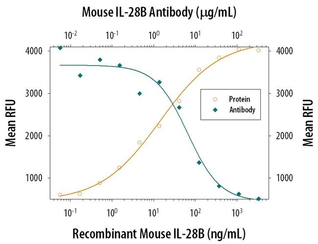 IL-28A/IL-28B Monoclonal Antibody (244716) (MA5-23902)