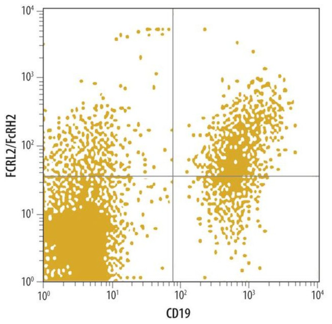 FCRL2/FCRL5 Antibody in Flow Cytometry (Flow)