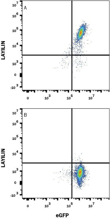 Layilin Antibody in Flow Cytometry (Flow)