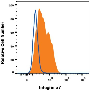 ITGA7 Antibody in Flow Cytometry (Flow)