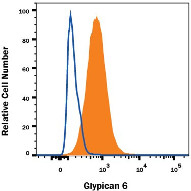 Glypican 6 Antibody in Flow Cytometry (Flow)