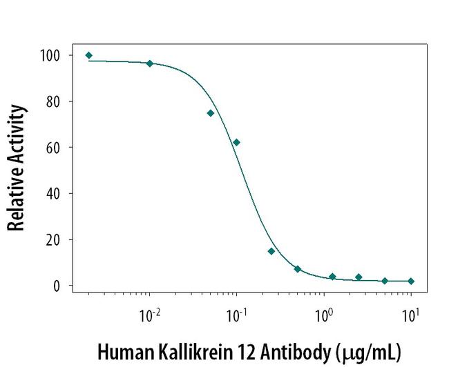 Kallikrein 12 Antibody in Neutralization (Neu)