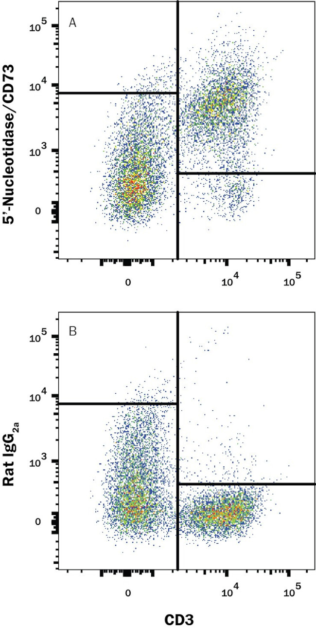 CD73 Antibody in Flow Cytometry (Flow)
