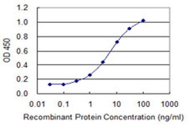 CYLC1 Antibody in ELISA (ELISA)
