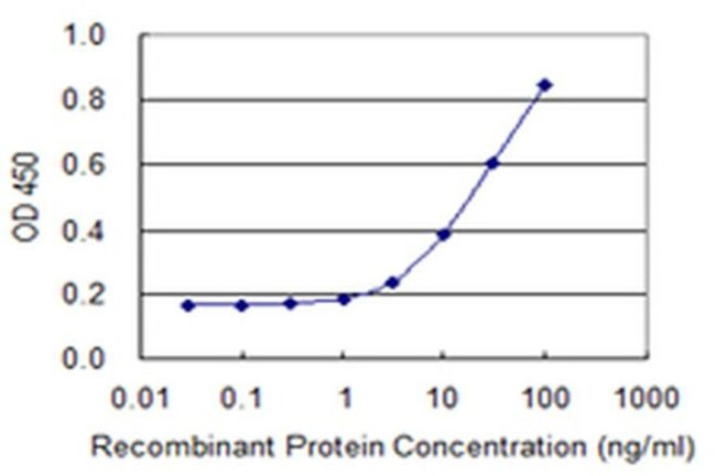 SNRPB2 Antibody in ELISA (ELISA)