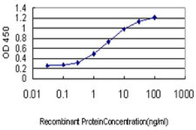 ZHX1 Antibody in ELISA (ELISA)