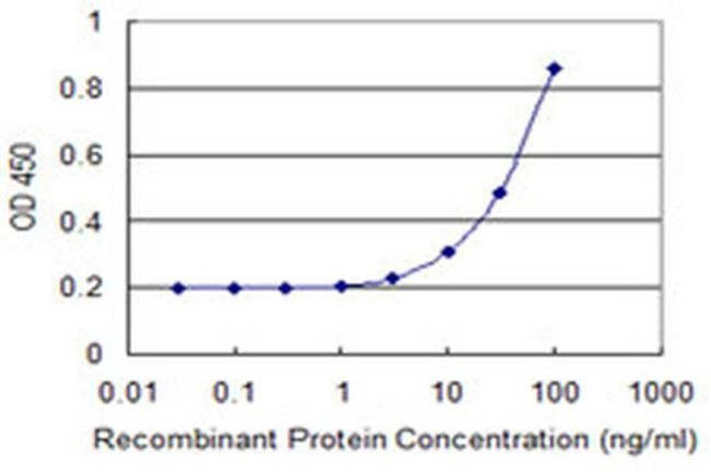 MTRF1 Antibody in ELISA (ELISA)