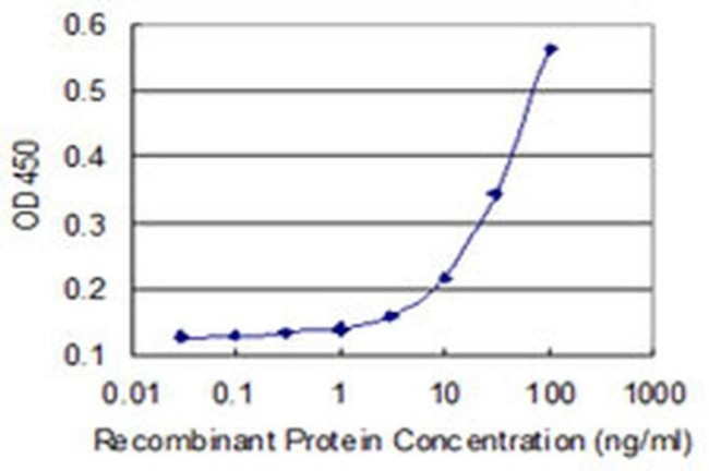 RHPN2 Antibody in ELISA (ELISA)
