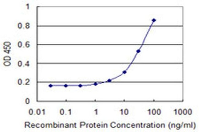 CDY2A Antibody in ELISA (ELISA)