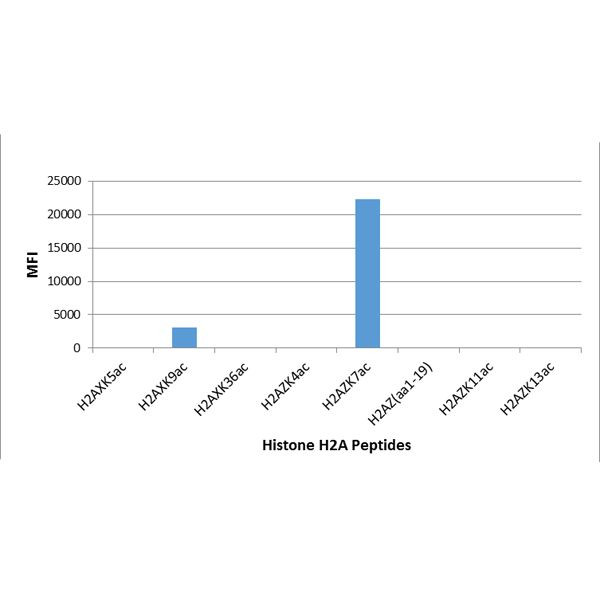 H2A.ZK7ac Antibody in Luminex (Luminex)