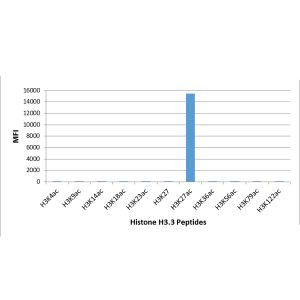 H3K27ac Antibody in Luminex (Luminex)