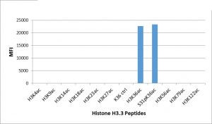 H3K36ac Antibody in Luminex (Luminex)