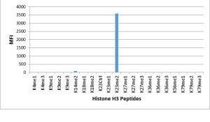 H3K23me2 Antibody in Luminex (Luminex)