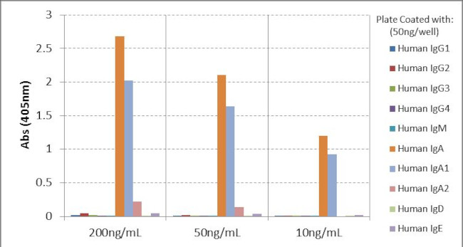 Human IgA1 Secondary Antibody in ELISA (ELISA)