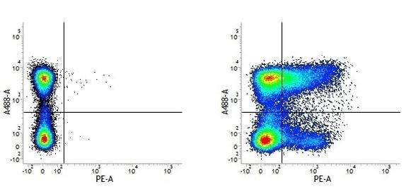 CD36 Antibody in Flow Cytometry (Flow)