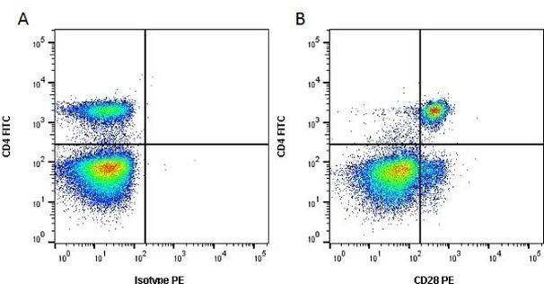 CD28 Antibody in Flow Cytometry (Flow)